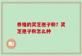 养殖的灵芝孢子粉？灵芝孢子粉怎么种