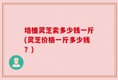培植灵芝卖多少钱一斤(灵芝价格一斤多少钱？)