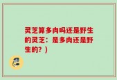 灵芝算多肉吗还是野生的灵芝：是多肉还是野生的？)