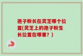 孢子粉长在灵芝哪个位置(灵芝上的孢子粉生长位置在哪里？)