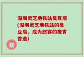 深圳灵芝地铁站臭豆腐(深圳灵芝地铁站的臭豆腐，成为旅客的夜宵首选)