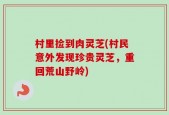 村里捡到肉灵芝(村民意外发现珍贵灵芝，重回荒山野岭)