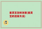 紫灵芝怎样泡茶(紫灵芝的泡茶方法)