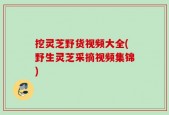 挖灵芝野货视频大全(野生灵芝采摘视频集锦)