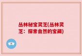 丛林秘宝灵芝(丛林灵芝：探索自然的宝藏)