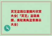 灵芝盆栽位置图片欣赏大全(「灵芝」盆栽美图，美轮美奂盆景展示大全)