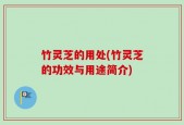 竹灵芝的用处(竹灵芝的功效与用途简介)