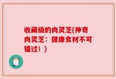 收藏级的肉灵芝(神奇肉灵芝：健康食材不可错过！)