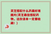 灵芝搭配什么药最好用图片(灵芝最佳搭配药物，这份清单一定要收藏！)