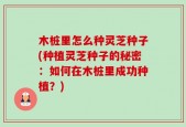木桩里怎么种灵芝种子(种植灵芝种子的秘密：如何在木桩里成功种植？)