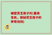 破壁灵芝孢子片(重焕生机，探秘灵芝孢子的神奇功效)