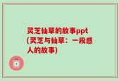 灵芝仙草的故事ppt(灵芝与仙草：一段感人的故事)