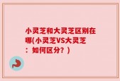 小灵芝和大灵芝区别在哪(小灵芝VS大灵芝：如何区分？)