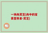 一块肉灵芝(肉中的宝贵营养素-灵芝)