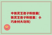 中微灵芝孢子粉胶囊(微灵芝孢子粉胶囊：小巧身材大功效)