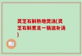 灵芝石斛熟地煲汤(灵芝石斛煮足一锅滋补汤)