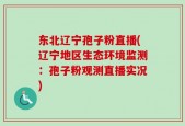 东北辽宁孢子粉直播(辽宁地区生态环境监测：孢子粉观测直播实况)