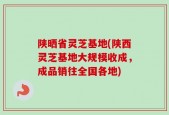 陕晒省灵芝基地(陕西灵芝基地大规模收成，成品销往全国各地)