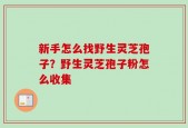 新手怎么找野生灵芝孢子？野生灵芝孢子粉怎么收集