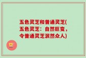 五色灵芝和普通灵芝(五色灵芝：自然巨变，令普通灵芝泯然众人)