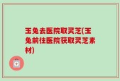 玉兔去医院取灵芝(玉兔前往医院获取灵芝素材)