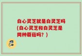 白心灵芝就是白灵芝吗(白心灵芝和白灵芝是同种蘑菇吗？)