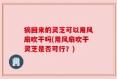 摘回来的灵芝可以用风扇吹干吗(用风扇吹干灵芝是否可行？)