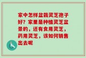 家中怎样盆栽灵芝孢子好？家里是种植灵芝盆景的，还有食用灵芝，药用灵芝，该如何销售出去呢