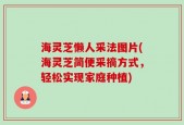 海灵芝懒人采法图片(海灵芝简便采摘方式，轻松实现家庭种植)