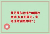 灵芝是东北特产嘛图片高清(东北的灵芝，你见过高清图片吗？)