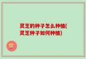 灵芝的种子怎么种植(灵芝种子如何种植)