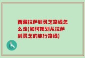 西藏拉萨到灵芝路线怎么走(如何规划从拉萨到灵芝的旅行路线)