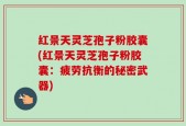 红景天灵芝孢子粉胶囊(红景天灵芝孢子粉胶囊：疲劳抗衡的秘密武器)