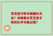 灵芝孢子粉分解图片大全？详细展示灵芝孢子粉的化学分解过程？