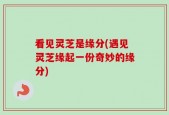 看见灵芝是缘分(遇见灵芝缘起一份奇妙的缘分)
