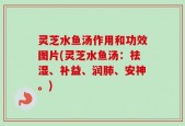 灵芝水鱼汤作用和功效图片(灵芝水鱼汤：祛湿、补益、润肺、安神。)