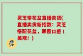 灵芝带花盆直播卖货(直播卖货新招数：灵芝搭配花盆，颠覆口感丨美观！)