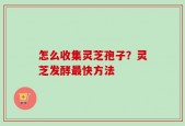 怎么收集灵芝孢子？灵芝发酵最快方法