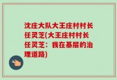 沈庄大队大王庄村村长任灵芝(大王庄村村长任灵芝：我在基层的治理道路)
