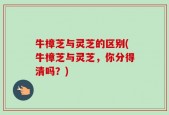 牛樟芝与灵芝的区别(牛樟芝与灵芝，你分得清吗？)