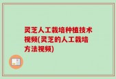 灵芝人工栽培种植技术视频(灵芝的人工栽培方法视频)