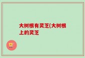 大树根有灵芝(大树根上的灵芝