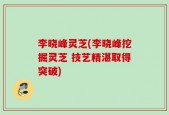 李晓峰灵芝(李晓峰挖掘灵芝 技艺精湛取得突破)