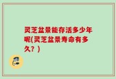灵芝盆景能存活多少年呢(灵芝盆景寿命有多久？)