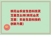 桃花山农业生态科技灵芝菌怎么样(桃花山灵芝菌：农业生态科技的创新力量)