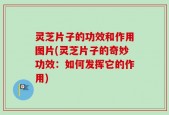 灵芝片子的功效和作用图片(灵芝片子的奇妙功效：如何发挥它的作用)