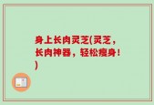 身上长肉灵芝(灵芝，长肉神器，轻松瘦身！)