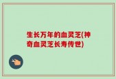 生长万年的血灵芝(神奇血灵芝长寿传世)