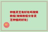 种植灵芝有好处吗视频教程(视频教程分享灵芝种植的好处)
