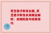 灵芝孢子粉生长期_灵芝孢子粉生长周期全解析：关键阶段与培育技巧
